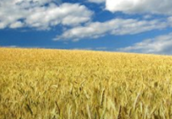 �ɰ���ʿ���l�����d���Ԟ�ɰ��r�I��������V�ǰ��