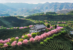 ��ȫ���GɫʳƷһ�����a(ch��n)�I(y��)�ںϰl(f��)չʾ���@�����γ��t ��ƽ�_(t��i)��(chu��ng)�@�ϰ�