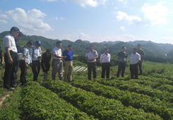 �ό����_��ͬ��Ͷ�Y��I�f����ǭ��Ͷ�Y����