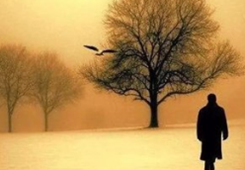 ��׷���ČW(xu��)�����(d��ng)�˵ı�Ӱ�������ɰ����e�_(t��i)������������