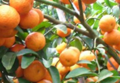 ���Pע31�l�����������r�����팍�� �_����ꑰlչ��M���Ҹ��С�