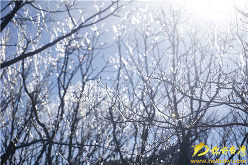 �����Sɽ�y�b�ع� ���g�ɾ����ɰ�ý�w�R�c(di��n)ٝ