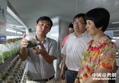 安徽馬鞍山副市長(zhǎng)王曉焱調(diào)研臺(tái)資企業(yè) 安徽馬鞍山副市長(zhǎng)王曉焱調(diào)研臺(tái)資企業(yè)