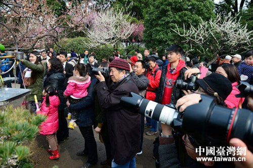 �Ϻ��h��ǧ��÷ʢ�_ �_(t��i)���_(t��i)����Ȼ��