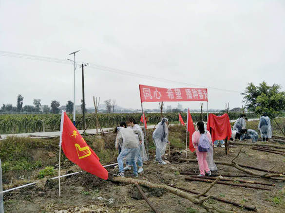 ��ͬ�� ϣ�� ���N���족����2017�꺣�{���ꄓ(chu��ng)�I(y��)�����_(t��i)������(y��u)ˮ���@�Nֲ���(d��ng)�ڸ����_(t��i)��(chu��ng)�@�e��