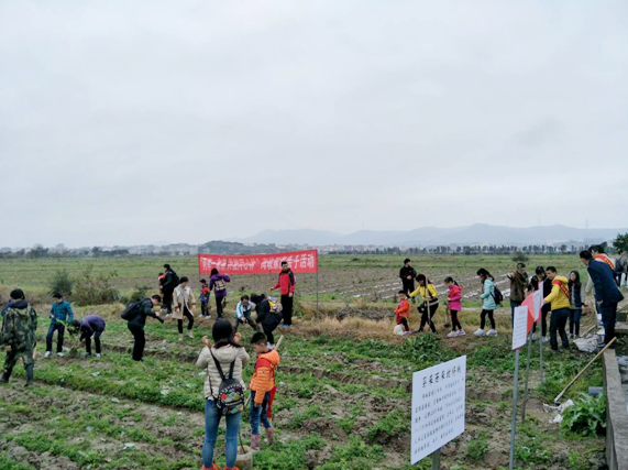 ��ͬ�� ϣ�� ���N���족����2017�꺣�{���ꄓ(chu��ng)�I(y��)�����_(t��i)������(y��u)ˮ���@�Nֲ���(d��ng)�ڸ����_(t��i)��(chu��ng)�@�e��