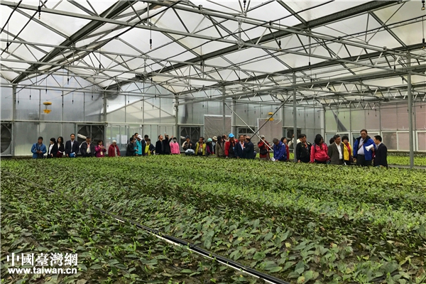 ���^���������ҡ����Ї��_���W(w��ng) �w���� �z��