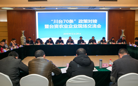 ��31�l���Ĵ����挦�挦�����r���� ���_���_���c�l�����d