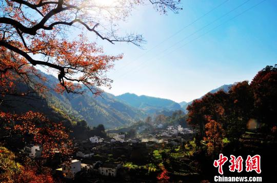 �ɰ����ИI�x�������_Ļ����ɽ������l��վ�_��