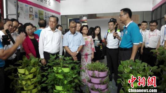 圖為臺灣精致農業技術展區。 康孝娟 攝