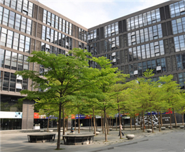 �ɰ���������Ѳ�Y�������з��OӋ�@