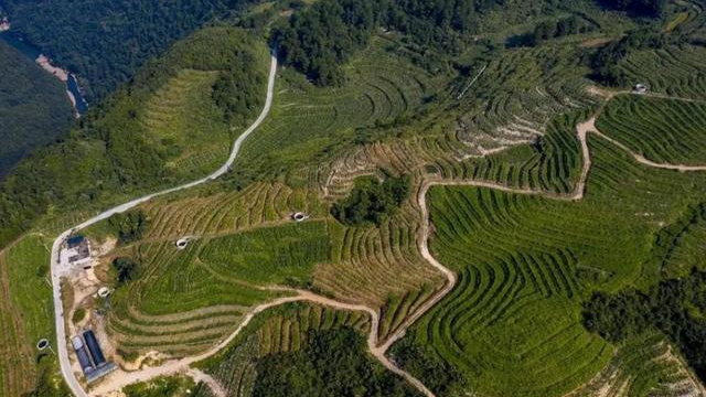 �F������14��ȫ�������־�r�aƷ����pick��һ����