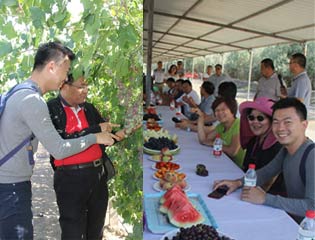 ���ۻ����r(n��ng)��(hu��)�����½����ш@ �Ї@�������༼�g(sh��)��(qi��ng)