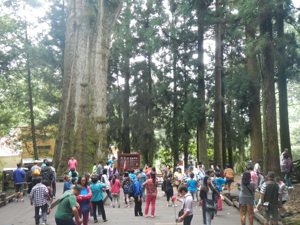 ����ɽ�O(sh��)�_�����_���Ԅ��YԴ���ՙC��