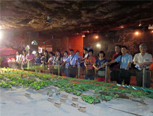 �M�D���_(t��i)�Ѕ��L�F(tu��n)���_(d��)�����������ܡ���ǡ�����