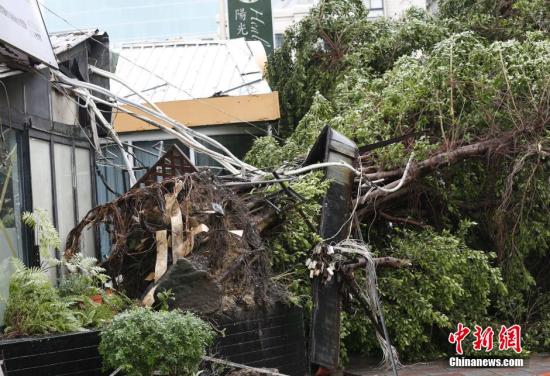 8��8�գ������(qi��ng)�_�L(f��ng)���K���_�����_���Q���K���ա�����ꑲ��S�󡰙M�����_����ȫ�_���ش��ܛ_��������8������1�r(sh��)30�֣�����6������4��ʧۙ��101���܂����D��һ�w��䱻�B������ <a target='_blank' ><p  align=