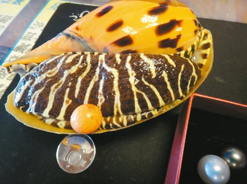 Ҭ��������������(l��)�顱�_(t��i)�����a(ch��n)���ϰ���쵽��