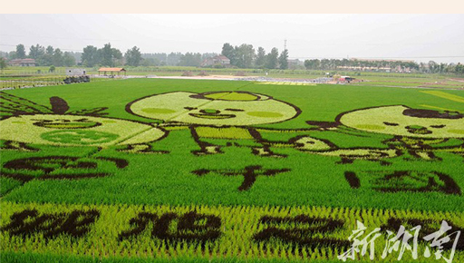 ���{�ɰ�������L��(ji��)���^ɽ��Ļ ���͵�����L���d