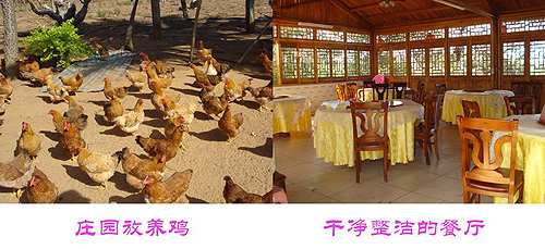 �_�Y��I�|���f�@ �������e�ȼٵĺ�ȥ̎