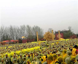 ���S�ӌO��������������S�� �������^��