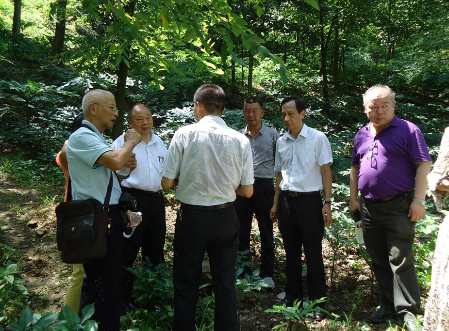 ����_(t��i)�̅f(xi��)��(hu��)����Ϫ�h����ħ��a(ch��n)�I(y��)