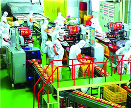 ���������x�_���۽�����Ј� Ͷ�Y3�|��Ԫ���l(xi��ng)������