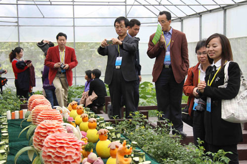 �׌Ãɰ��F���r�I���[�����������������e��Ŀ��