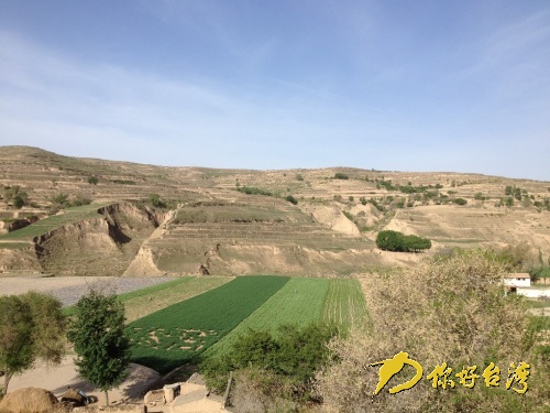 2014兩岸農業生態地景藝術節在甘肅定西啟動 2014兩岸農業生態地景藝術節在甘肅定西啟動