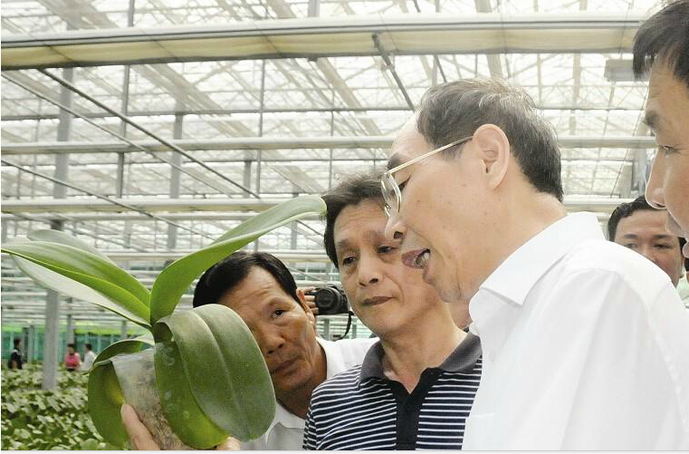 尤權(quán)抵臺走親訪友 合作交流 共謀發(fā)展 尤權(quán)抵臺走親訪友 合作交流 共謀發(fā)展