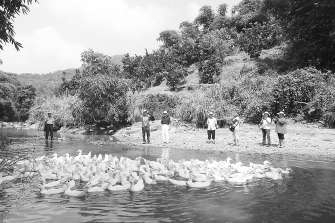 �_���B���f�������֡��Ͼ�������