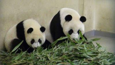 �_���a�I(y��)�֣����A�С��ڙ���Ʒ��(chu��ng)��߅Ч��5�|�_��