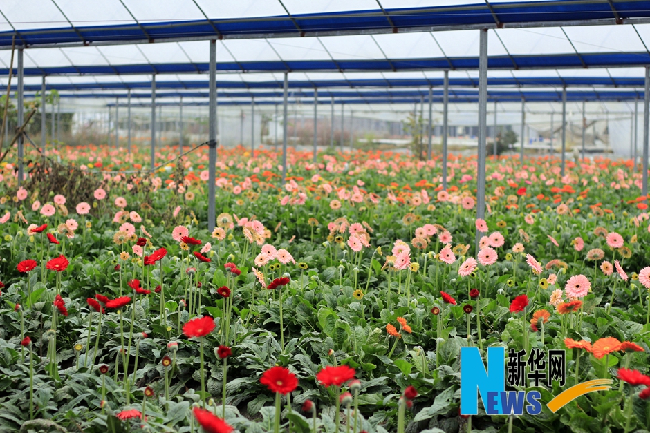 ���������}�_�r�I(y��)�����Ӱ� �_��(chu��ng)�@����¸���