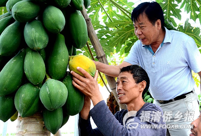 �����_���r�񄓘I�@�^�ƏV�_�������߹�