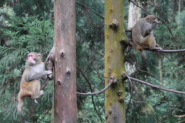 �_(t��i)��ֱ�w���ҽ��p����  �ﶬ���ήa(ch��n)Ʒ�ܚgӭ