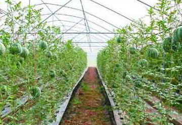 ����һ̖�ļ���ɰ��r�I�����������̙C