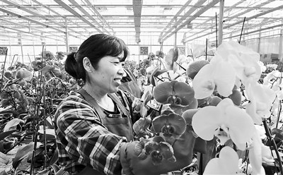 �_���m�����½��`�ţ��D��