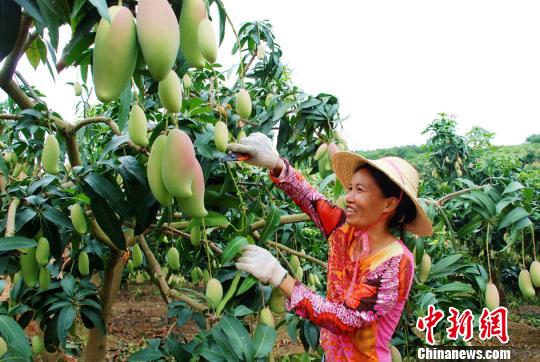 �V����ɫ���ӏ����_������������â���a�I