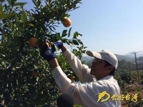 臺旅行家大陸改行當農夫 臺旅行家大陸改行當農夫