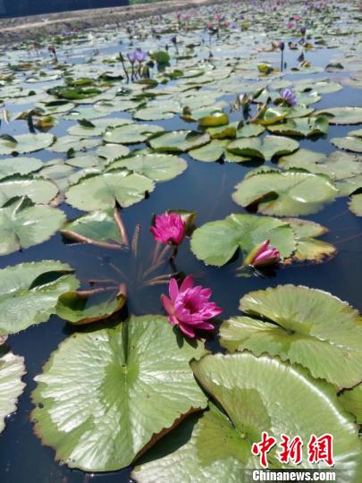 �_�������r�����������޹ŵĴ��ɏ����