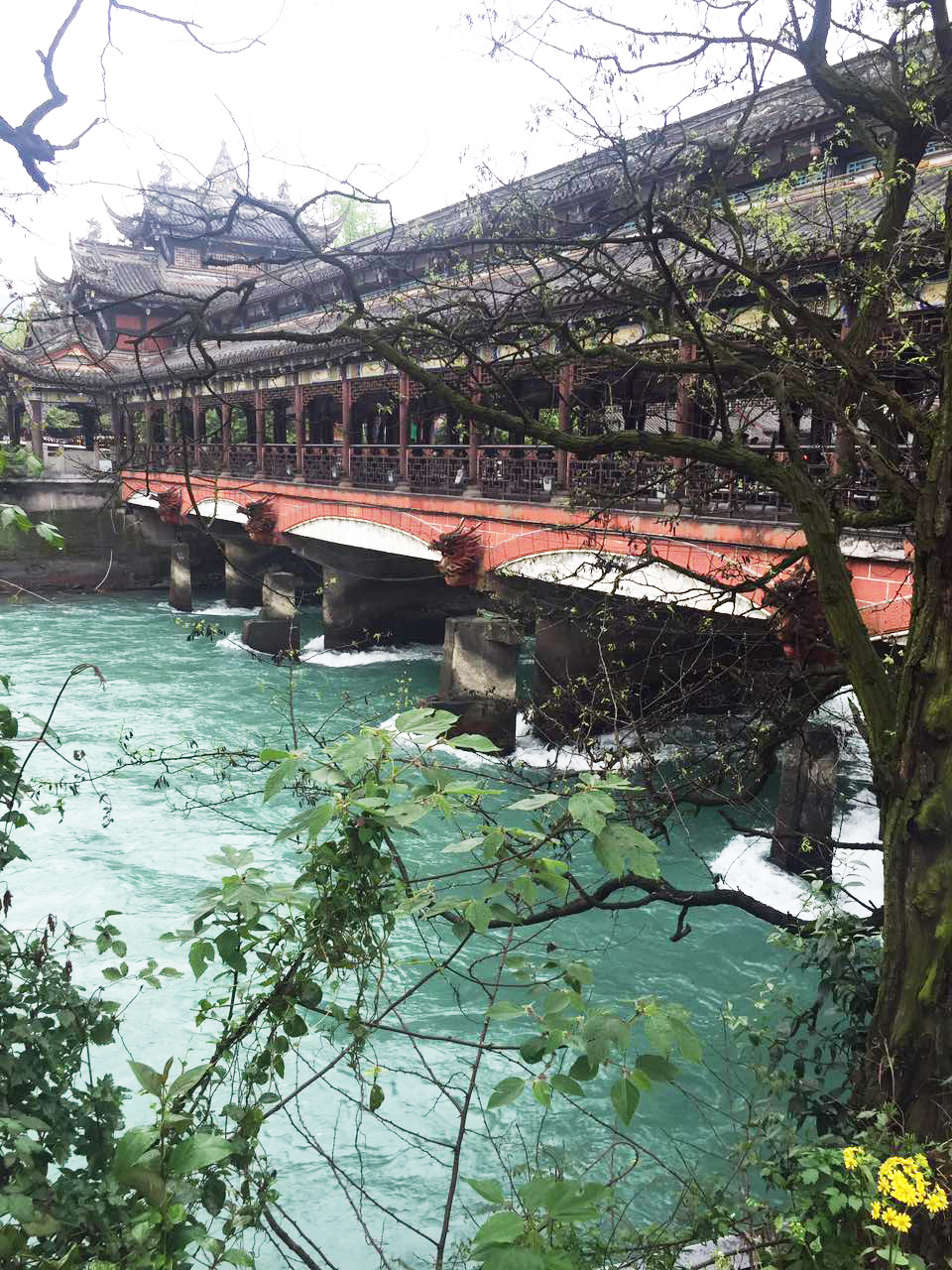 �����_���n���еĶ�����