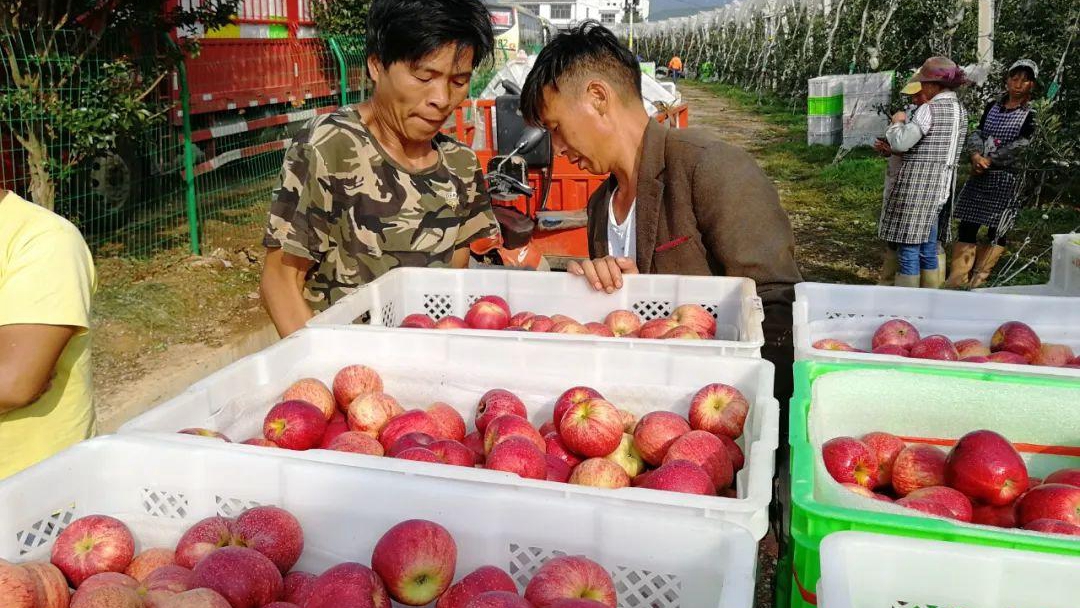 ��ԭ�r(n��ng)���D(zhu��n)�ƾ͘I(y��)��(sh��)�F(xi��n)������71�|Ԫ