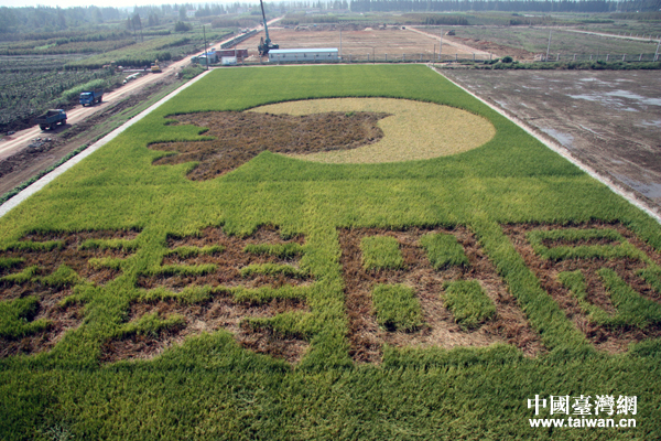 ���Տ]���_(t��i)���r(n��ng)��(chu��ng)�I(y��)�@��(n��i)һ�������Ї�(gu��)�_(t��i)���W(w��ng) ����Ȼ �z