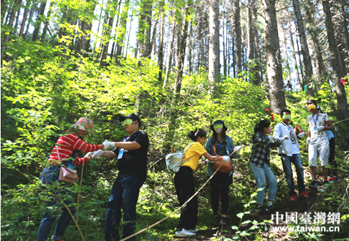 兩地大學生攜手穿越原始森林 兩地大學生攜手穿越原始森林