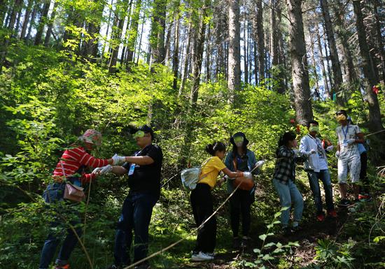 �ɵش�W(xu��)���y�ִ�Խԭʼɭ��