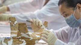 �����ﱣ�o�������ðlչ