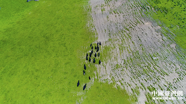 �����ݲ�ԭ�L��