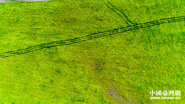 ���ĸ����Ͳ˻���