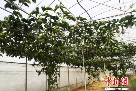 �_���F���r�I���F�ݡ�ġ����