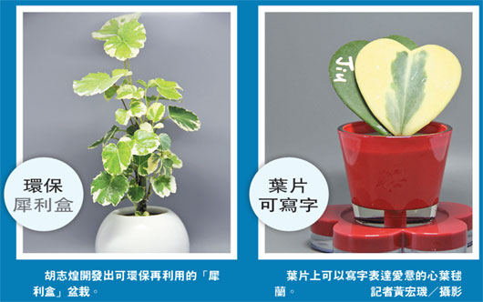 7��ʧ��12�f���_�Ҿ��̽K�аl(f��)����(chu��ng)�����ԣ��D��