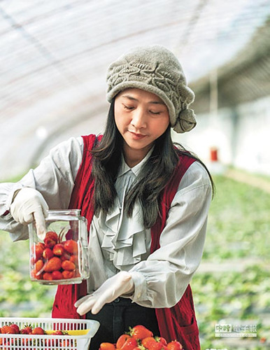 �_(t��i)�r(n��ng)�δ���׼ҡ���ݮ�t(y��)Ժ��Ժ�L